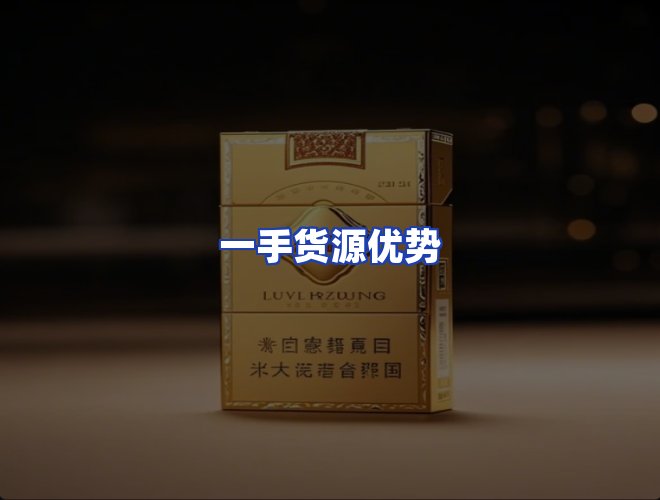 专业团队